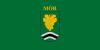Flag of Mór