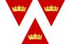 Flag of Wellington
