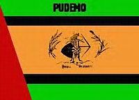 PUDEMO flag.jpg