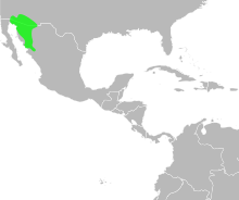 Bufo alvarius distribution.svg