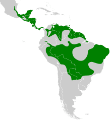 Thamnophilus doliatus map.svg