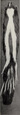 Revision of the skunks of the genus Chincha (1901) pl. 3 M. m. holzneri.png