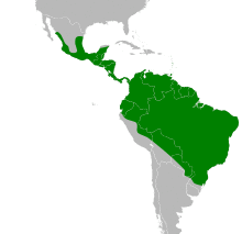 Artibeus lituratus map.svg