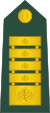 21-Slovenian Army-GEN.svg