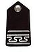 USAF Cadet 1st Cadet shoulder insignia.jpg