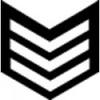 LC-3 Able Cadet Sleeve Insignia