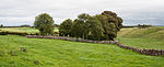 Caldragh Graveyard 2014 08 29.jpg
