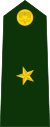 Colombia-Army-OF-1a.svg