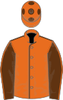 Orange, brown seams, brown sleeves, orange seams, orange cap, brown spots