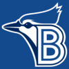 BluefieldBlueJayscap.PNG