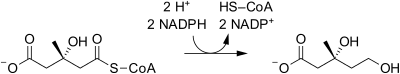 HMG-CoA reductase reaction.svg