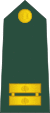12-Slovenian Army-2LT.svg