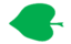 Leaf morphology cordate.png