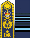 United Kingdom-Air force-OF-10-collected.svg