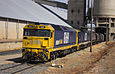 Pacific National 81 class locos (8169 and 8137) at the Temora Sub Terminal.jpg