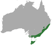 Eastern Pygmy Possum area.png
