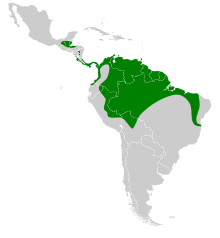 Tonatia saurophila map.svg