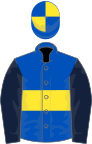 Royal blue, yellow hoop, dark blue sleeves, royal blue and yellow quartered cap