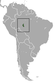 Black-headed Marmoset area.png