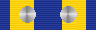 DFSM with Rosette x 2.png