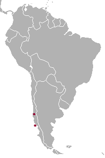 Darwin's Fox area.png