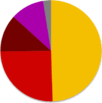 Turkish general election, November 2015 pie chart.png