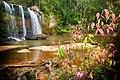 Chat Trakan Waterfall 02.jpg