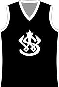 Western Suburbs Magpies Jumper.jpg