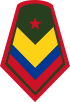 Colombia-Army-OR-7.svg