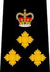 Edmonton Police - Chief of Police.png