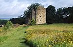 Crom Old Castle - geograph.org.uk - 36806.jpg