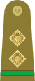 09.Pakistan Army-MCWO.svg