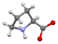 Proline-from-xtal-3D-bs-17-view-B.png