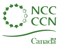 Thirteen stylized maple leaves arranged in a circle, ten are coloured and three are outlines (with the coloured leaves forming the shape of the letter "C")