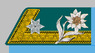 Fähnrich der k.k. Gebirgstruppe 1908-18.png