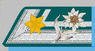Offiziersstellvertreter k.k. Gebirgstruppe 1915-18.png