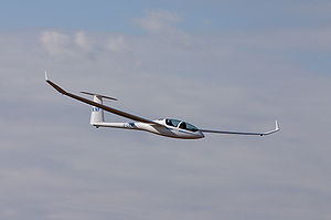DG1000 glider.jpg