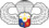 AFP Parachutist Badge.png