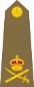 Lieutenant-General