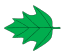Pennatilobé.svg