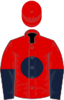 Red, dark blue disc, halved sleeves
