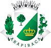 Official seal of Arapiraca