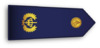 Dutch Police Rank Brigadier.png