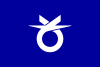 Flag of Soni