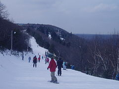 On the "Little Caesar" trail