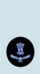 IAF JWO Shoulder.png