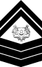 Army-SGP-OR-6a.svg