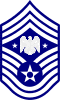 USAF Senior Enlisted Advisor for the National Guard Bureau.svg