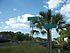 NB US 19-98 at Withlacoochee River-Outstanding Waterway.jpg
