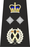 Met Dep Commissioner Epaulette